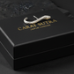 Unisex Antique finish snake Earrings | With Certificate of Authenticity and 925 Hallmark - caratsutra