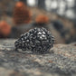 RARE PRINCE by CARAT SUTRA | Unique Designed Lion Head Ring with Royal Fleur De Lis | 925 Sterling Silver Oxidized Ring | Men's Jewelry | With Certificate of Authenticity and 925 Hallmark - caratsutra